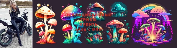 дмт Заволжье