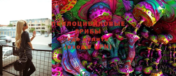 стаф Заволжск