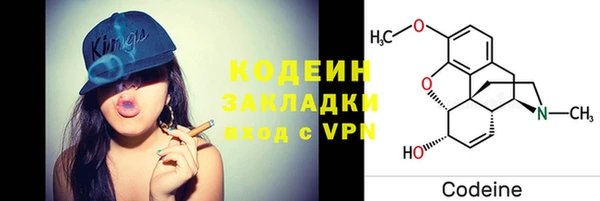 ГАЛЛЮЦИНОГЕННЫЕ ГРИБЫ Заводоуковск