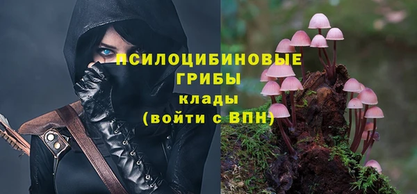 стаф Заволжск